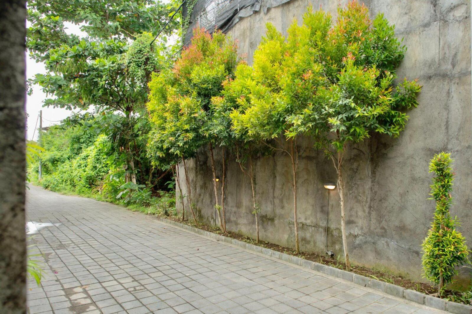 A7 Guesthouse Canggu Exterior foto